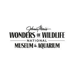 Wonders Of Wildlife